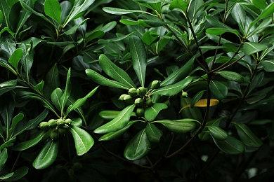 《战锤40K：星际战士2》新视频介绍发行后计划